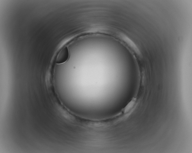 X0000114410876200910231130