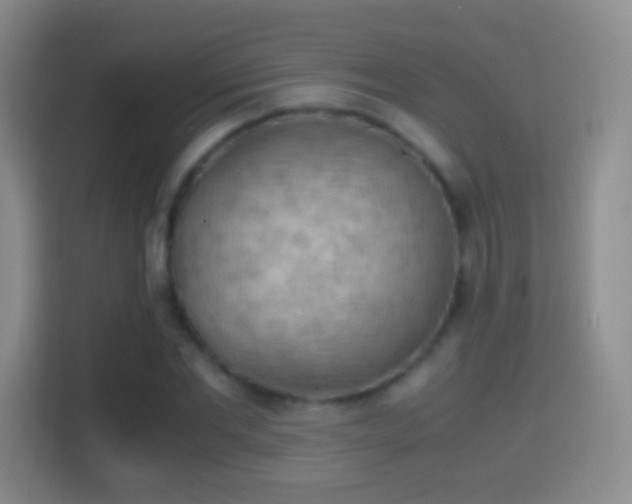X0000114410877200910231130