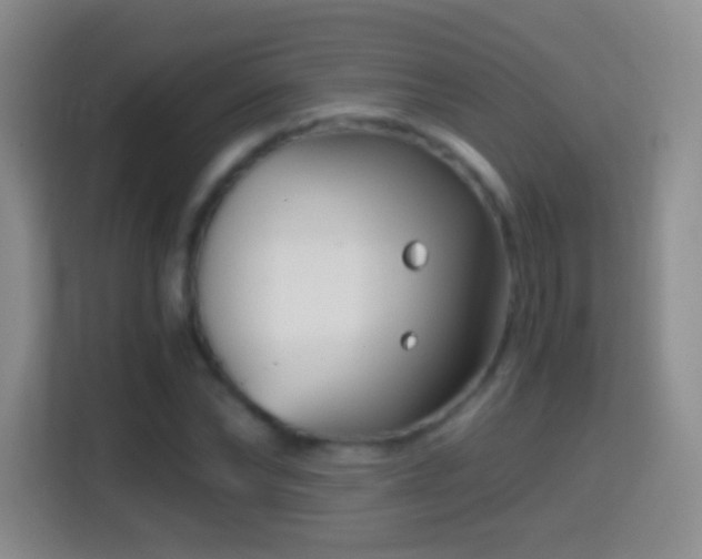 X0000114410878200910231130