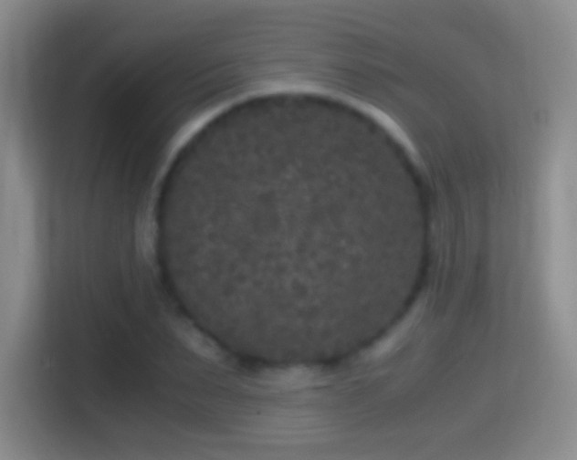X0000114410879200910231130