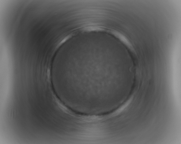 X0000114410881200910231130