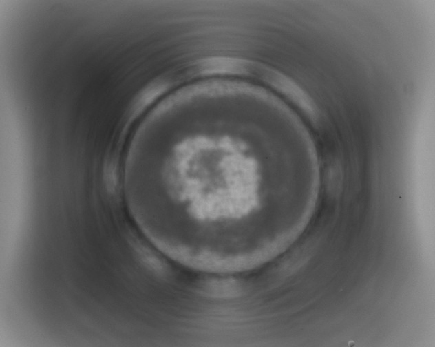 X0000114410882200910231130