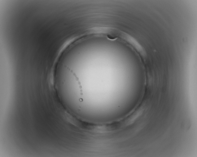 X0000114410883200910231130