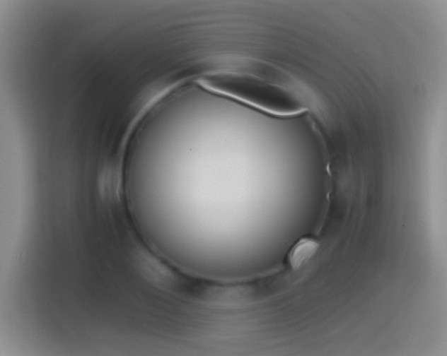 X0000114410884200910231130