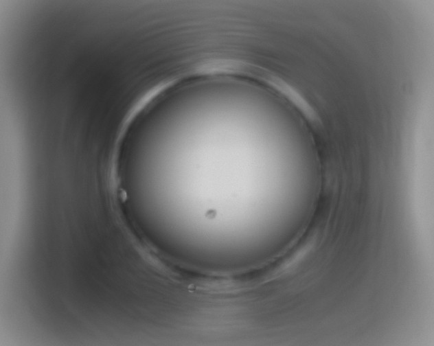 X0000114410885200910231130