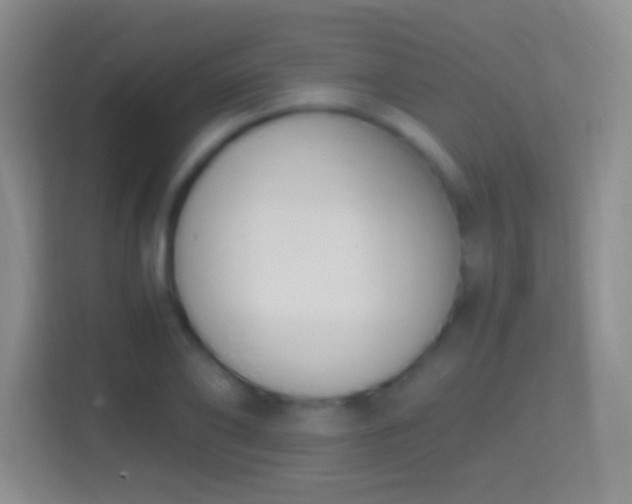 X0000114410886200910231130