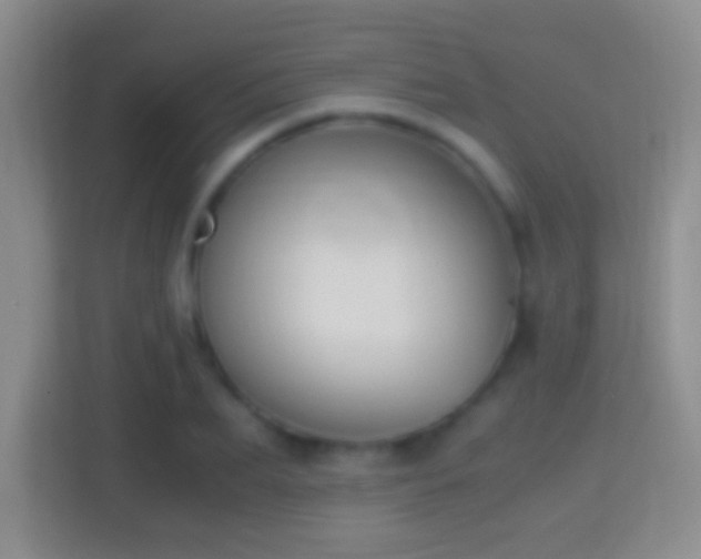 X0000114410887200910231130
