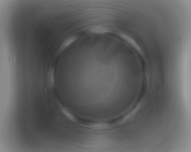 X0000114410889200910231130