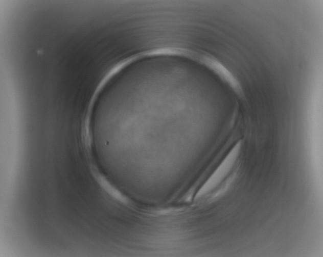 X0000114410892200910231130