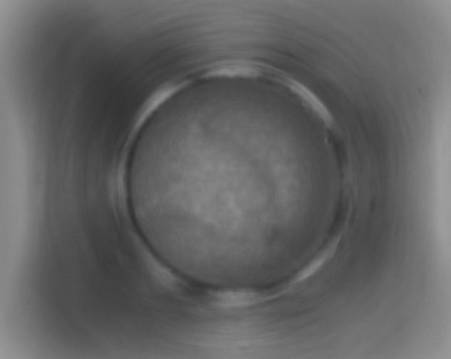 X0000114410893200910231130