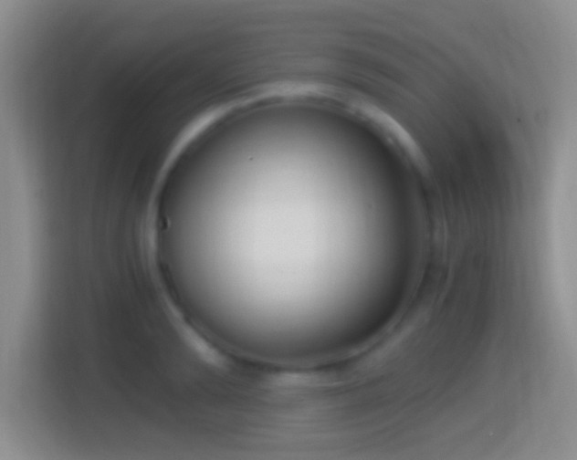 X0000114410894200910231130