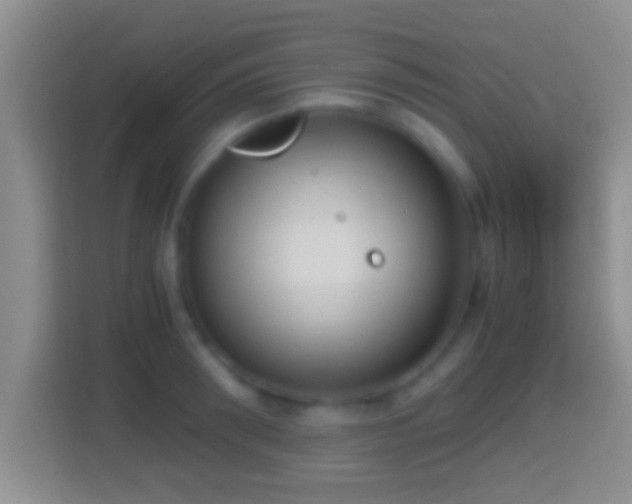 X0000114410898200910231130