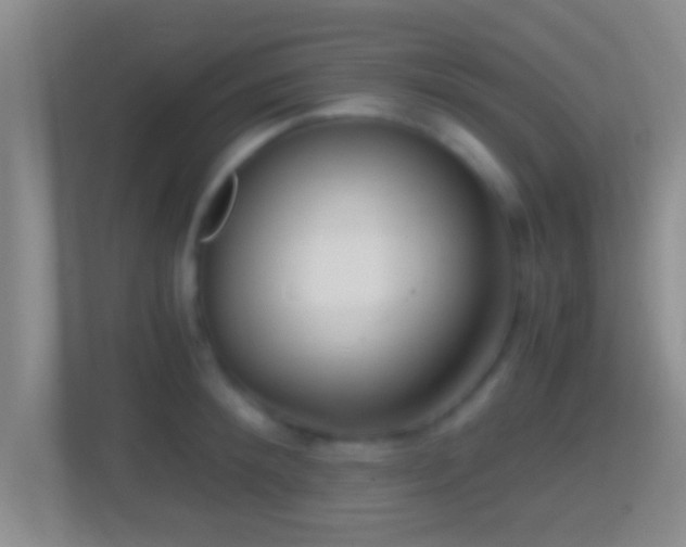 X0000114410900200910231130