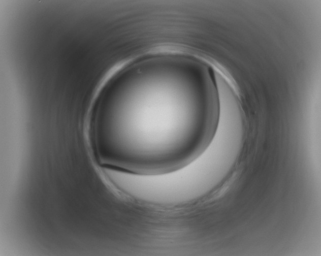 X0000114410901200910231130