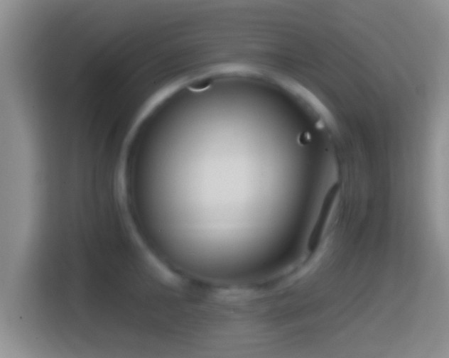X0000114410902200910231130