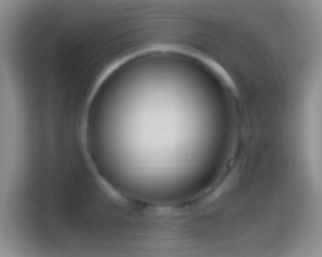 X0000114410903200910231130