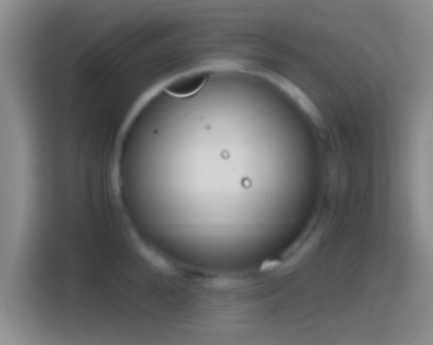 X0000114410904200910231130