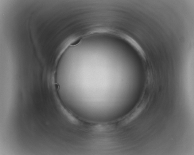 X0000114410906200910231130