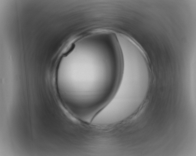 X0000114410909200910231130