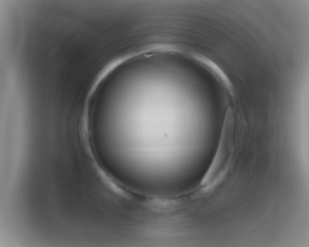 X0000114410910200910231130