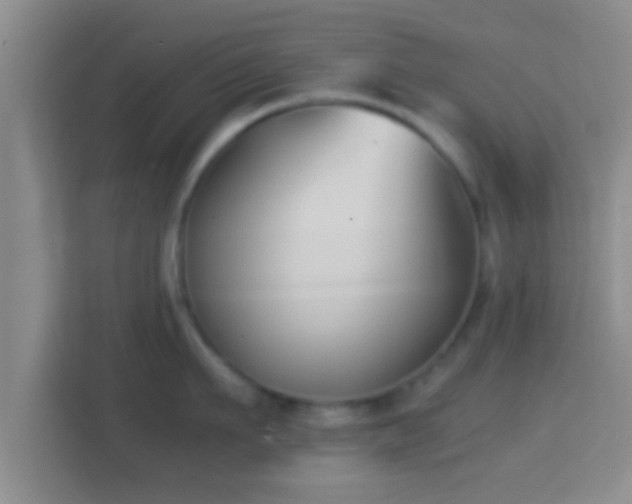 X0000114410911200910231130