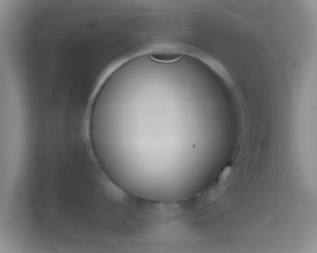 X0000114410912200910231130