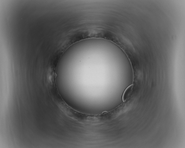 X0000114410914200910231129