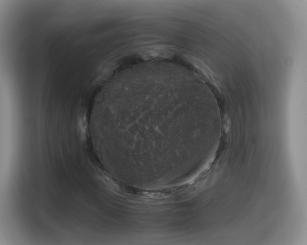 X0000114410915200910231129