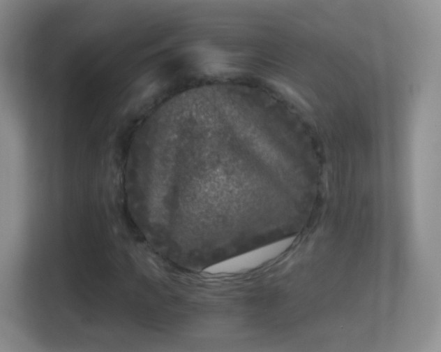 X0000114410917200910231129