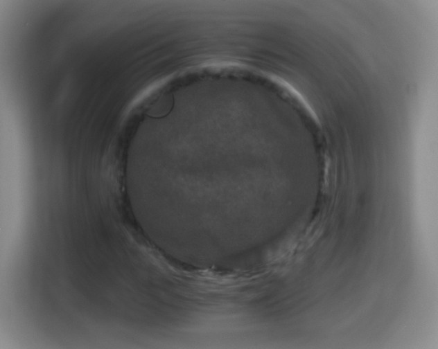 X0000114410919200910231129