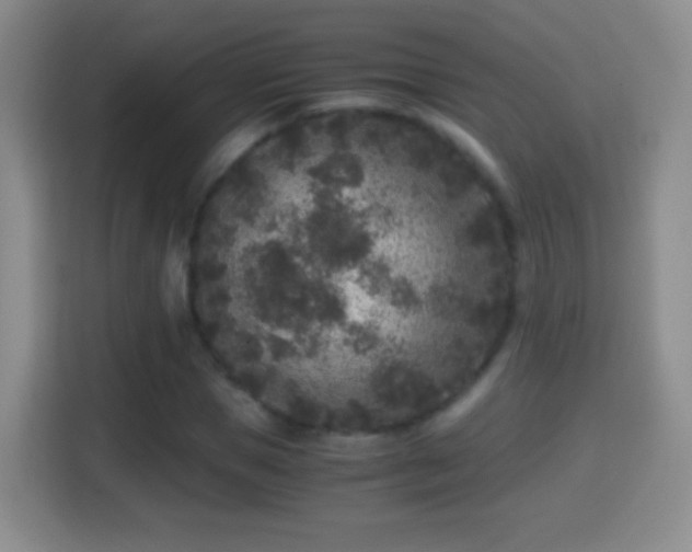 X0000114410921200910231129