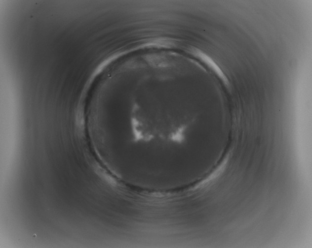 X0000114410923200910231129