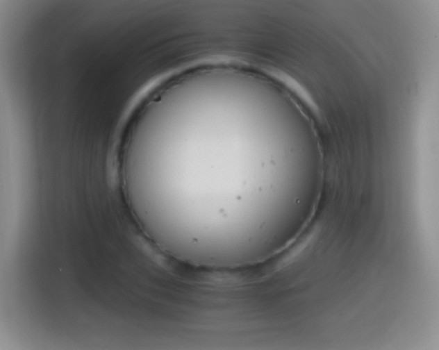 X0000114410927200910231129