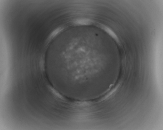 X0000114410930200910231129