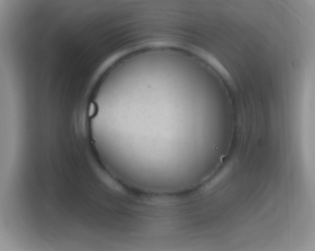 X0000114410934200910231129
