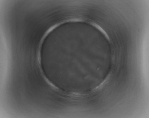 X0000114410935200910231129