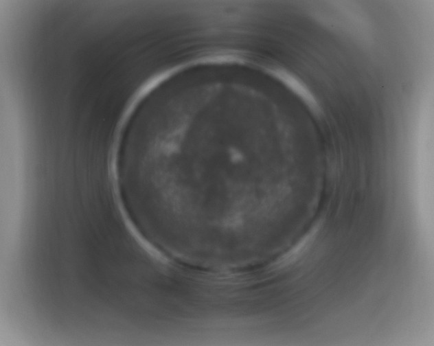 X0000114410943200910231129