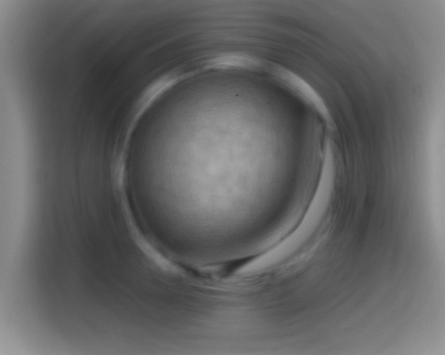 X0000114410946200910231129