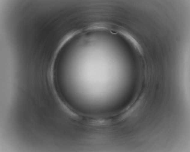 X0000114410949200910231129