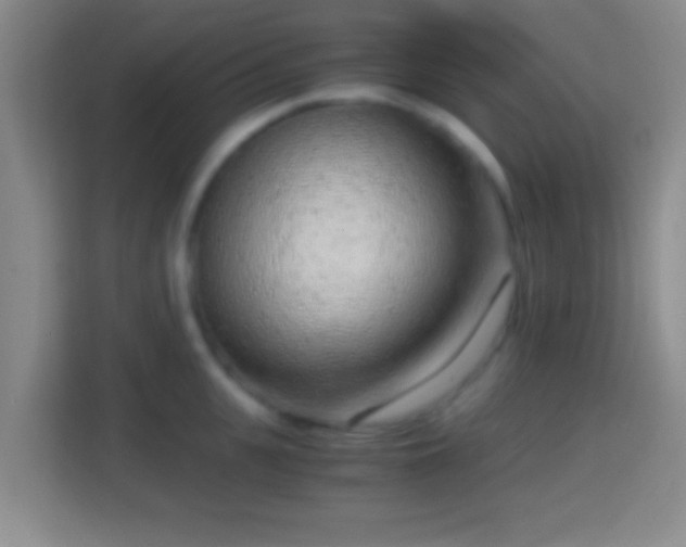 X0000114410951200910231129