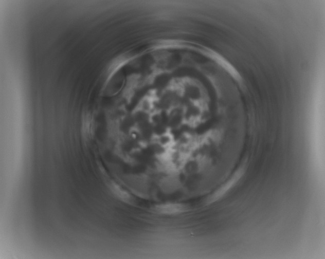 X0000114410953200910231129