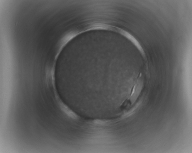 X0000114410954200910231129