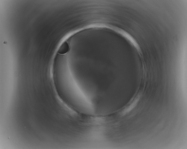 X0000114410958200910231129