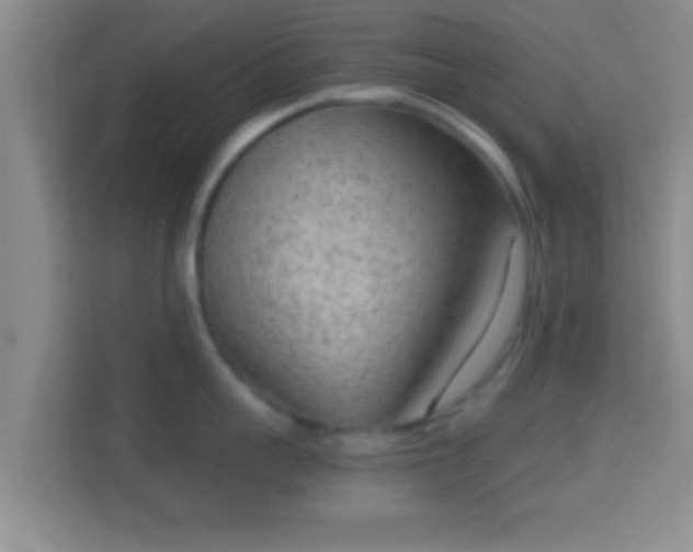 X0000114410959200910231130