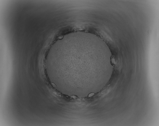 X0000114410961200910231129