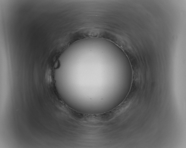 X0000114410962200910231129