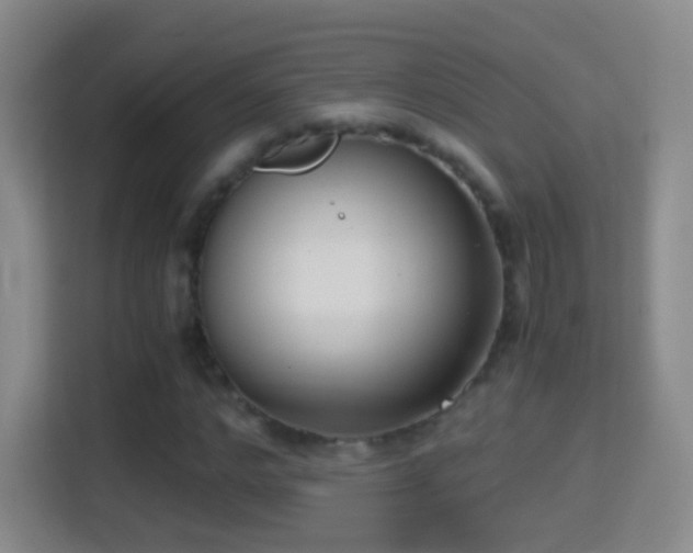 X0000114410968200910231129