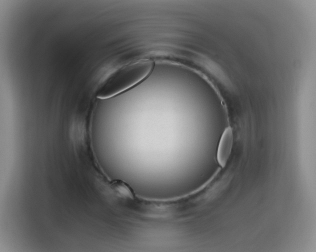 X0000114410969200910231129