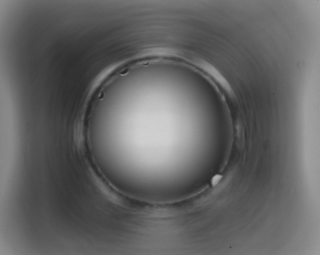X0000114410972200910231129