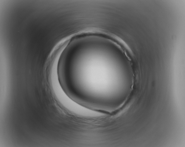 X0000114410973200910231129